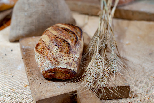 La Tropézienne - Auch