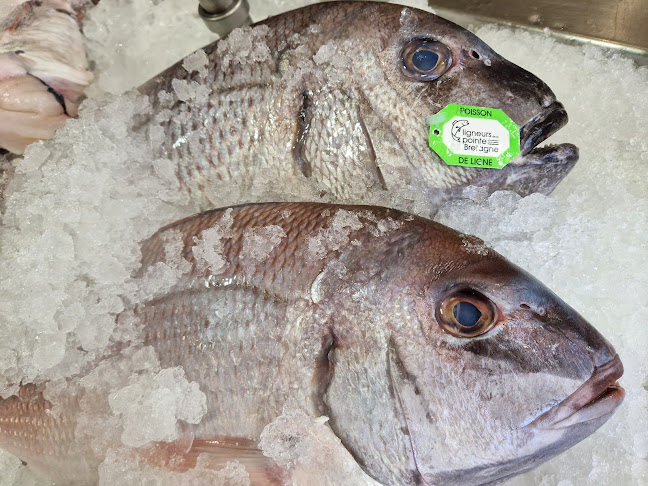 Comentarii opinii despre La Pescaille