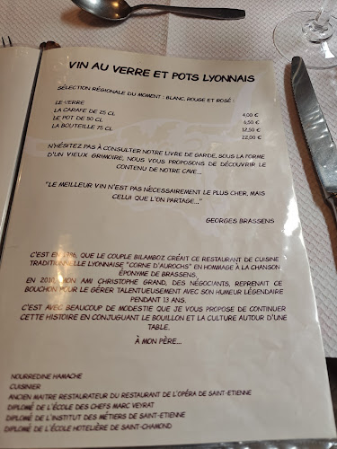 Opinii despre Corne d'Aurochs în Saint-Étienne - Restauration