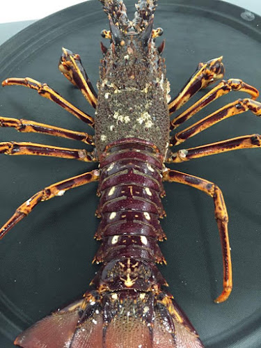 36 Rue de Liège, 64000 Pau