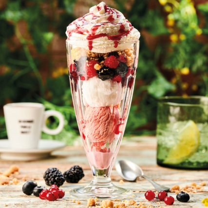 Buffalo Grill Nimes - Restauration