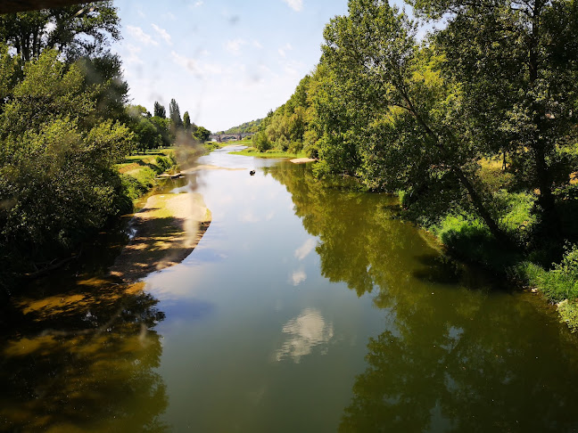 Opinii despre La Tonnelle în Tours - Restauration