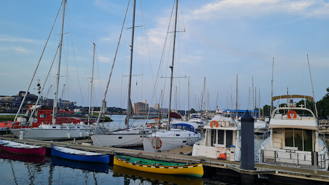 Comentarii opinii despre Le Poisson à Voile