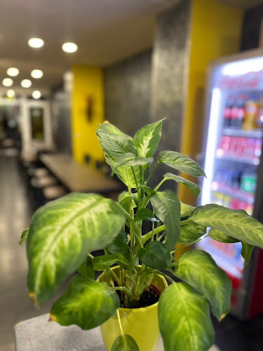 Comentarii opinii despre La Tour de Pizz'