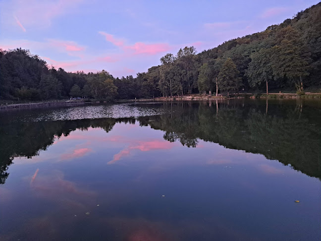 12 Chem. de Rosière, 38300 Bourgoin-Jallieu, France