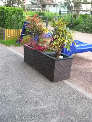 Comentarii opinii despre Le Must chicken