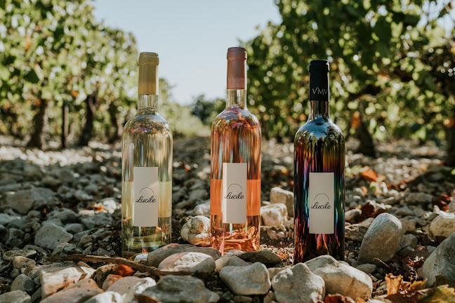 Cave VMV Les Vignerons Du Mont Ventoux