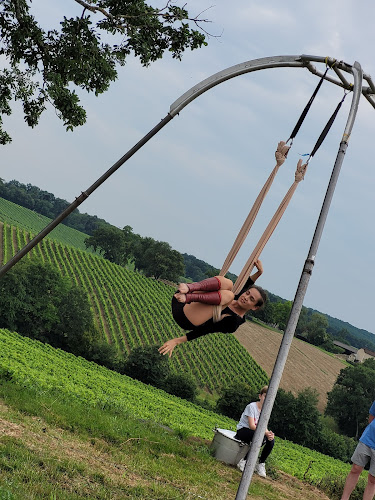 Comentarii opinii despre Domaine Chiroulet