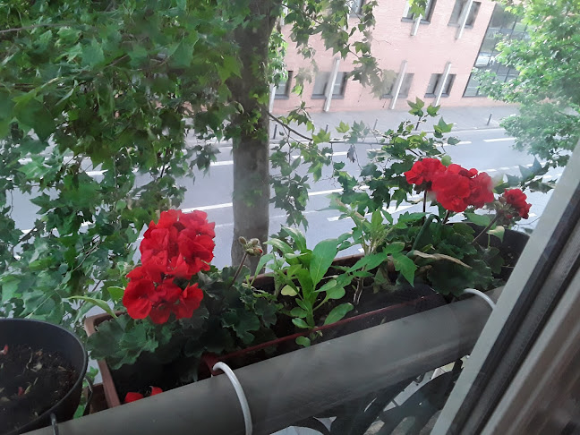 Comentarii opinii despre Au rendez-vous Des Chauffeurs