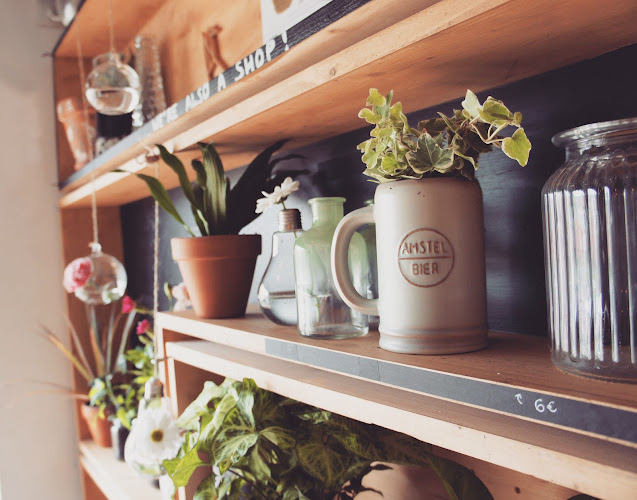 Comentarii opinii despre La Biche & Le Renard