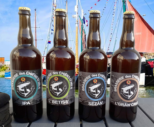 Opinii despre Brasserie des chiens de mer în Armentières - Restauration