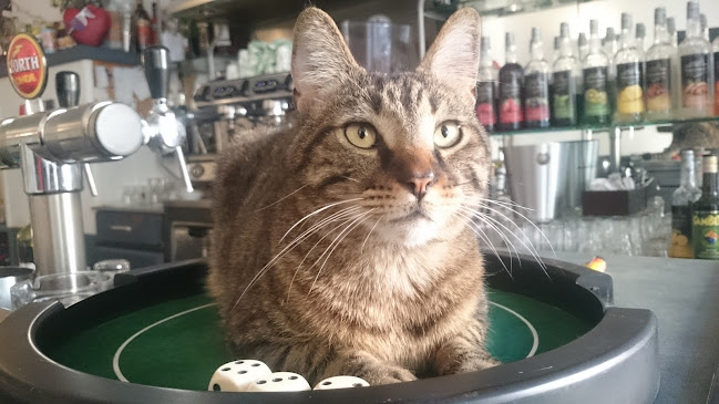 Cercle Des Travailleurs Bar Cafe