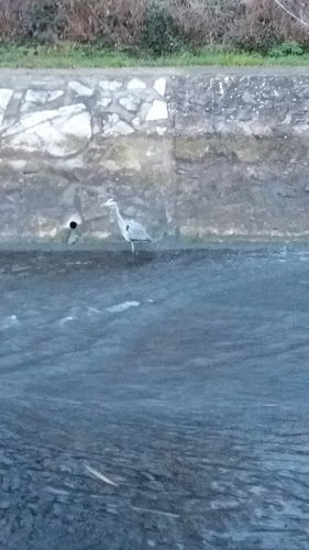 Le Bras Verre - Restauration