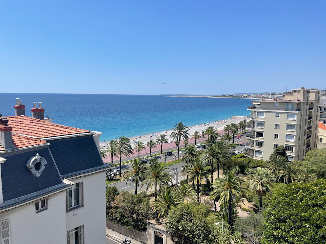 Farago on the roof - Restauration