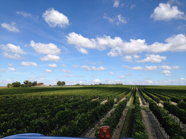 Maison Robert - Restauration