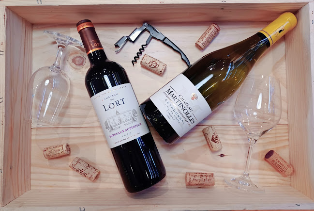 Comentarii opinii despre Nicolas Nice Maccarani