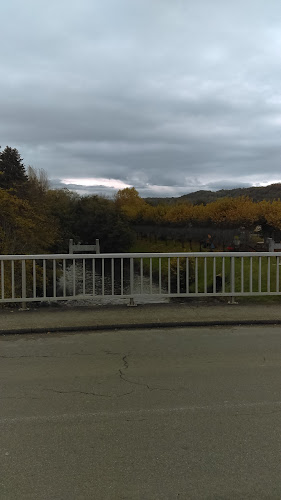 Comentarii opinii despre Lacau Pierre