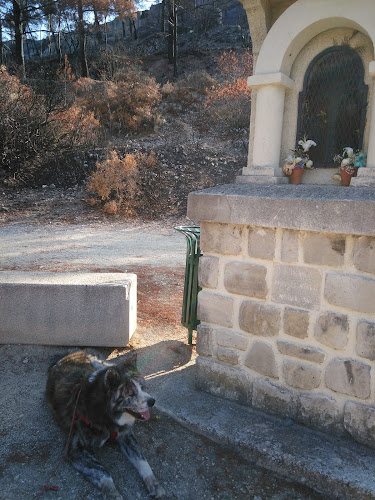 Domenget Raphaël - Rognac