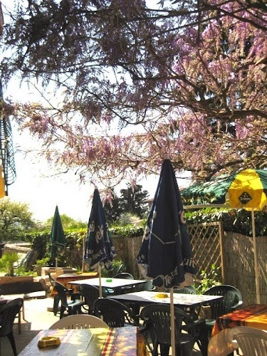 Restaurant-pizzeria la Sarazine / Vienne et Roussillon