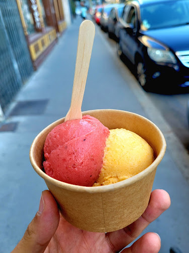 51 Rue de la Thibaudière, 69007 Lyon, France