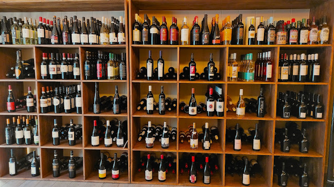 Comentarii opinii despre Ciketto