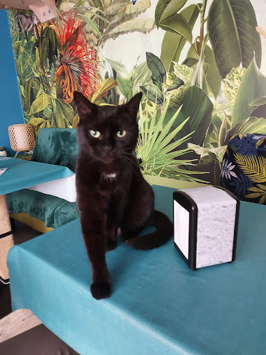 Comentarii opinii despre Chatperlipopette Café