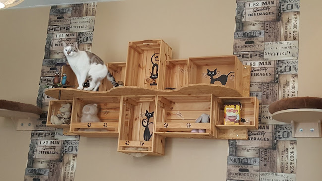 Chatperlipopette Café - Restauration