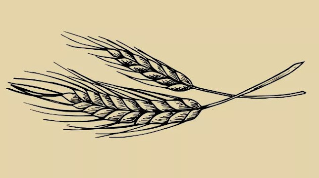 Opinii despre Du Levain au Pain în Auxerre - Restauration