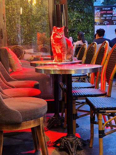 7 Rue de la Cossonnerie, 75001 Paris