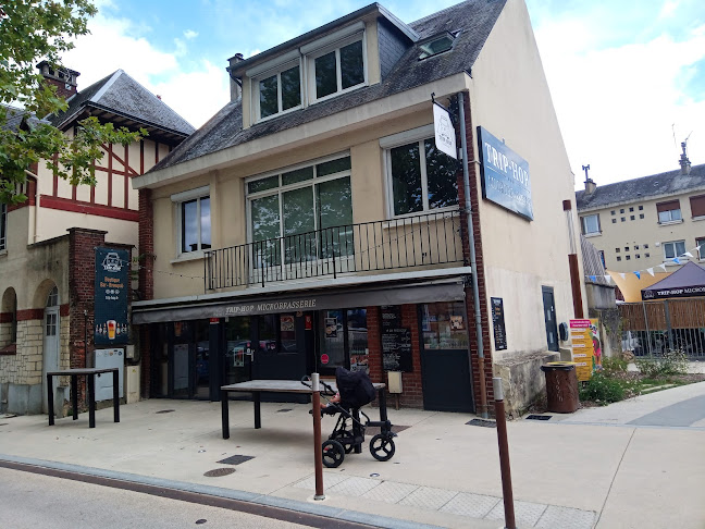 Comentarii opinii despre TRIP-HOP Microbrasserie