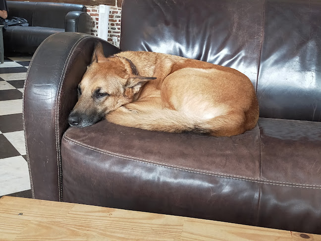 Le Waf - Restauration