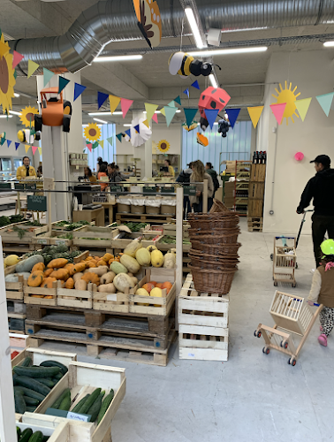 Miyam Pantin - Restauration