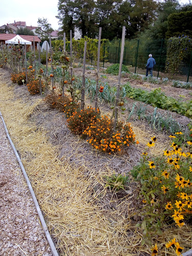 34 Rue Général Giraud, 42300 Roanne