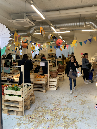 Comentarii opinii despre Miyam Pantin