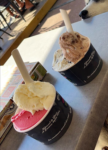 Comentarii opinii despre Gelato Familia