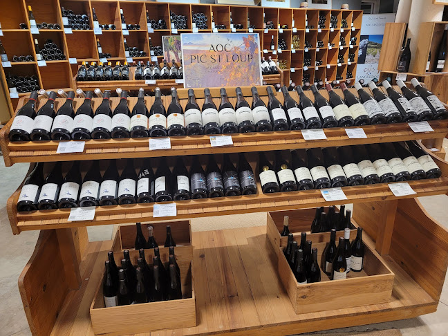 Opinii despre MAS SAPORTA La Boutique de la Maison des Vins du Languedoc în Lattes - Restauration