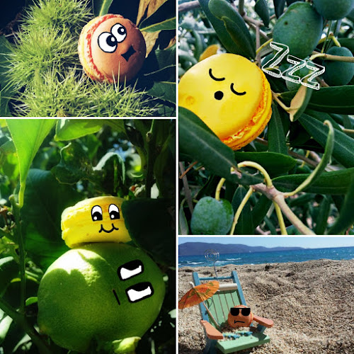 Comentarii opinii despre Saveurs & Macarons