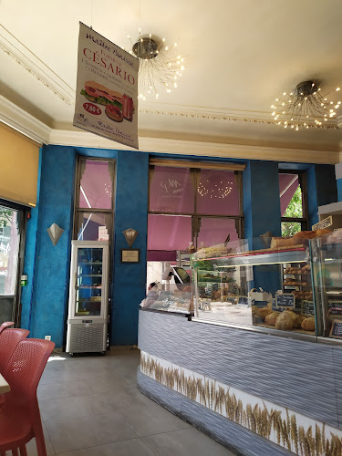 2 Rue de Lorgues, 83000 Toulon