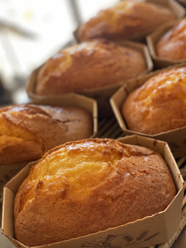 Comentarii opinii despre Maison Calvino