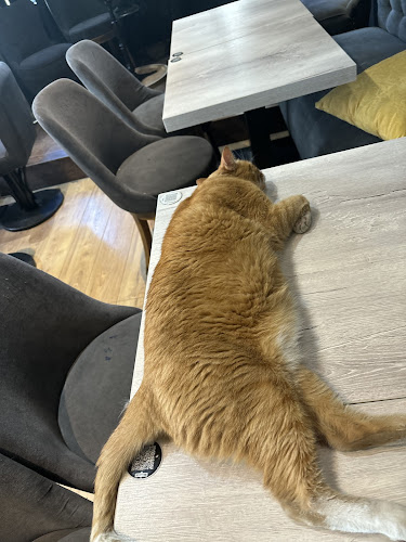 7 Rue de la Cossonnerie, 75001 Paris