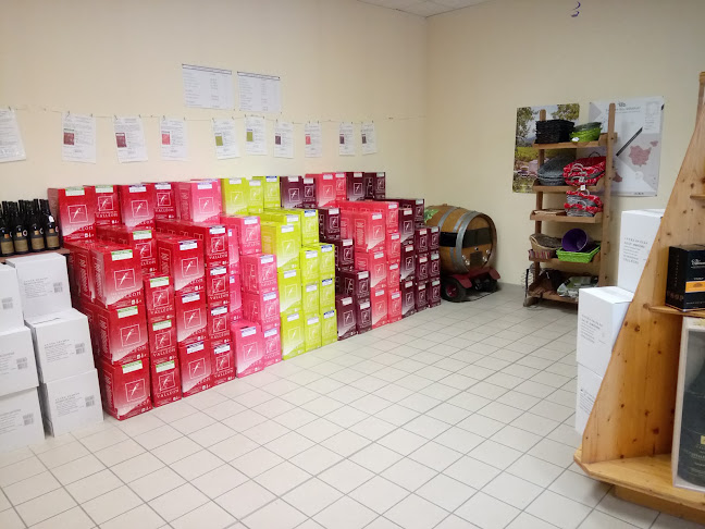 Les vignerons Valléon