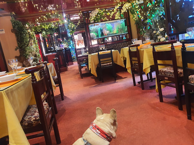 Opinii despre Restaurant Fleur de Jade în Nice - Restauration