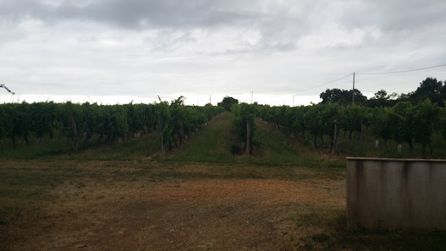 Château Saint-Pierre - Restauration