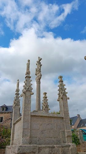 Comentarii opinii despre Ty butun