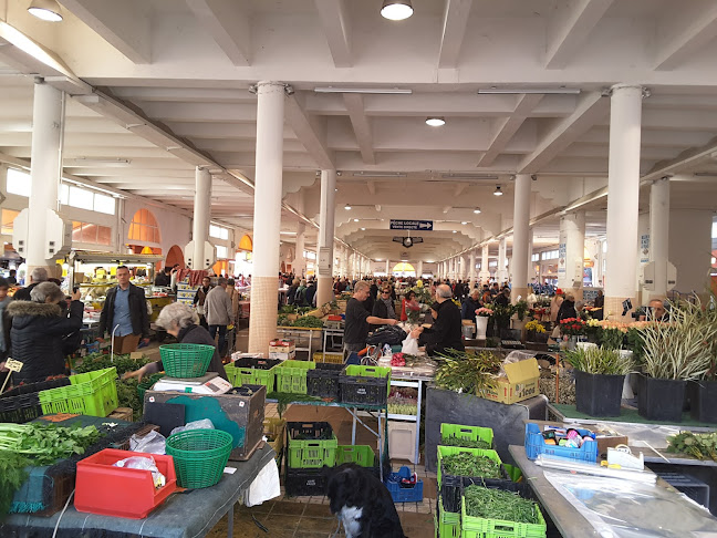 11 Rue du Pré, 06400 Cannes