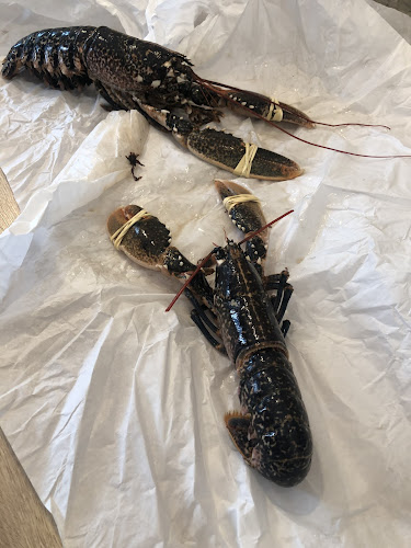 Opinii despre Poiscaille în Montreuil - Restauration