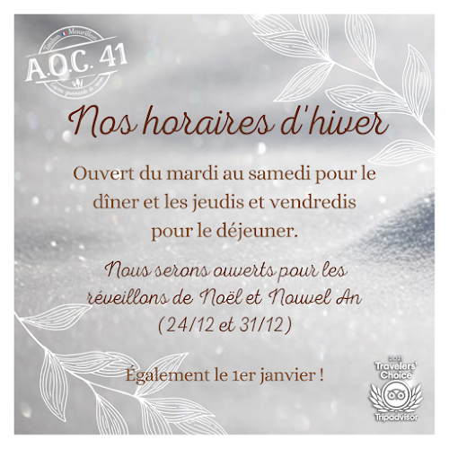 Comentarii opinii despre AOC 41