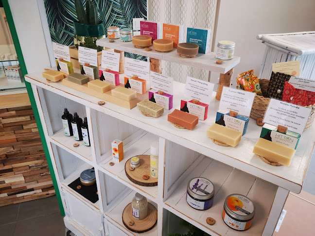 Biotiko - Restauration