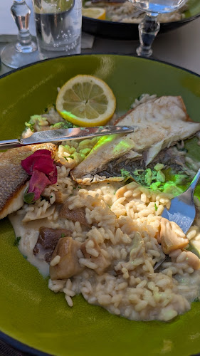 Opinii despre Restaurant O'Gascon în Pau - Restauration