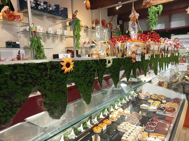 123 Av. Aristide Briand, 82000 Montauban